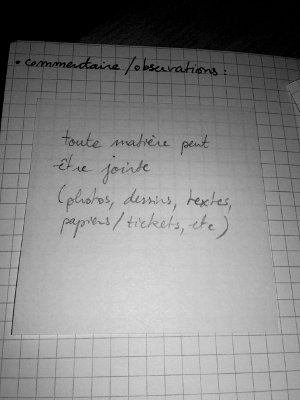 files/oeuvres_nb400/Pepin4_nb400.jpeg