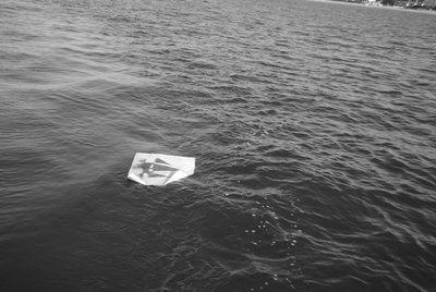 files/oeuvres_nb400/Racine2_nb400.jpeg