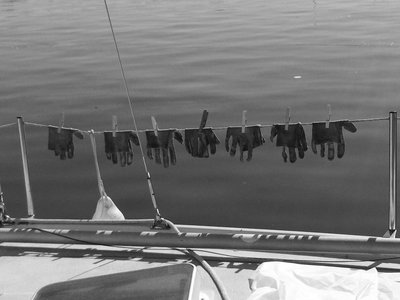files/oeuvres_nb400/Silva2_nb400.jpeg